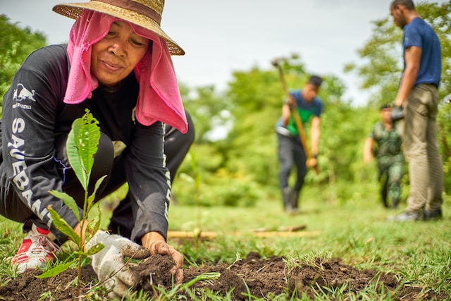 Quelles sont les innovations dans le domaine de l’agroécologie ?